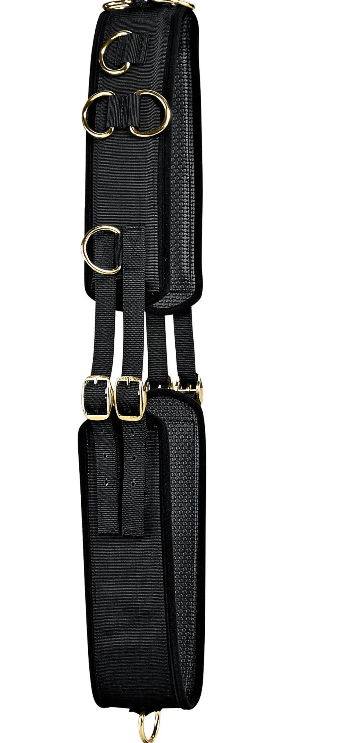 TORY LEATHER Tory Neoprene Training Surcingle Black