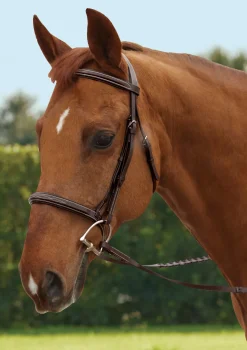 Hot KINGS INTERNATIONAL TRU-Fit™ Build-A-Bridle™ Fancy-Stitched Hunter Noseband Chocolate