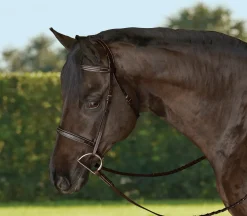 Hot KINGS INTERNATIONAL TRU-Fit™ Build-A-Bridle™ Fancy-Stitched Hunter Noseband Chocolate