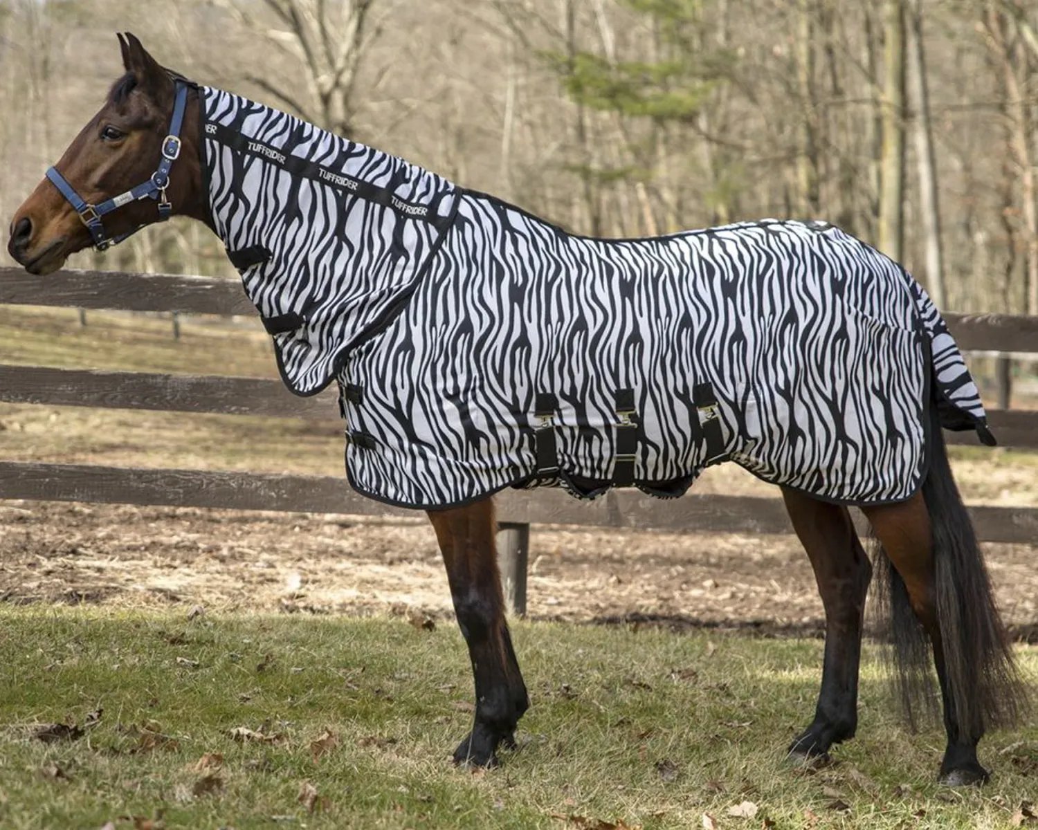 Discount JPC EQUESTRIAN TuffRider® Comfy Plus Combo Neck Fly Sheet Zebra