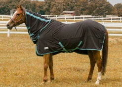 Online JPC EQUESTRIAN TuffRider® Cooler Sheet Combo