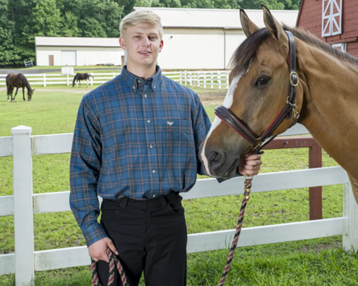 Online JPC EQUESTRIAN TuffRider® Men’s Voltage Print Work Shirt