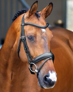 Online SHIRES EQUESTRIAN Velociti Lusso Dressage Flash Bridle