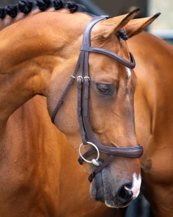 Outlet SHIRES EQUESTRIAN Velociti Lusso Ergonomic Curved Flash Bridle