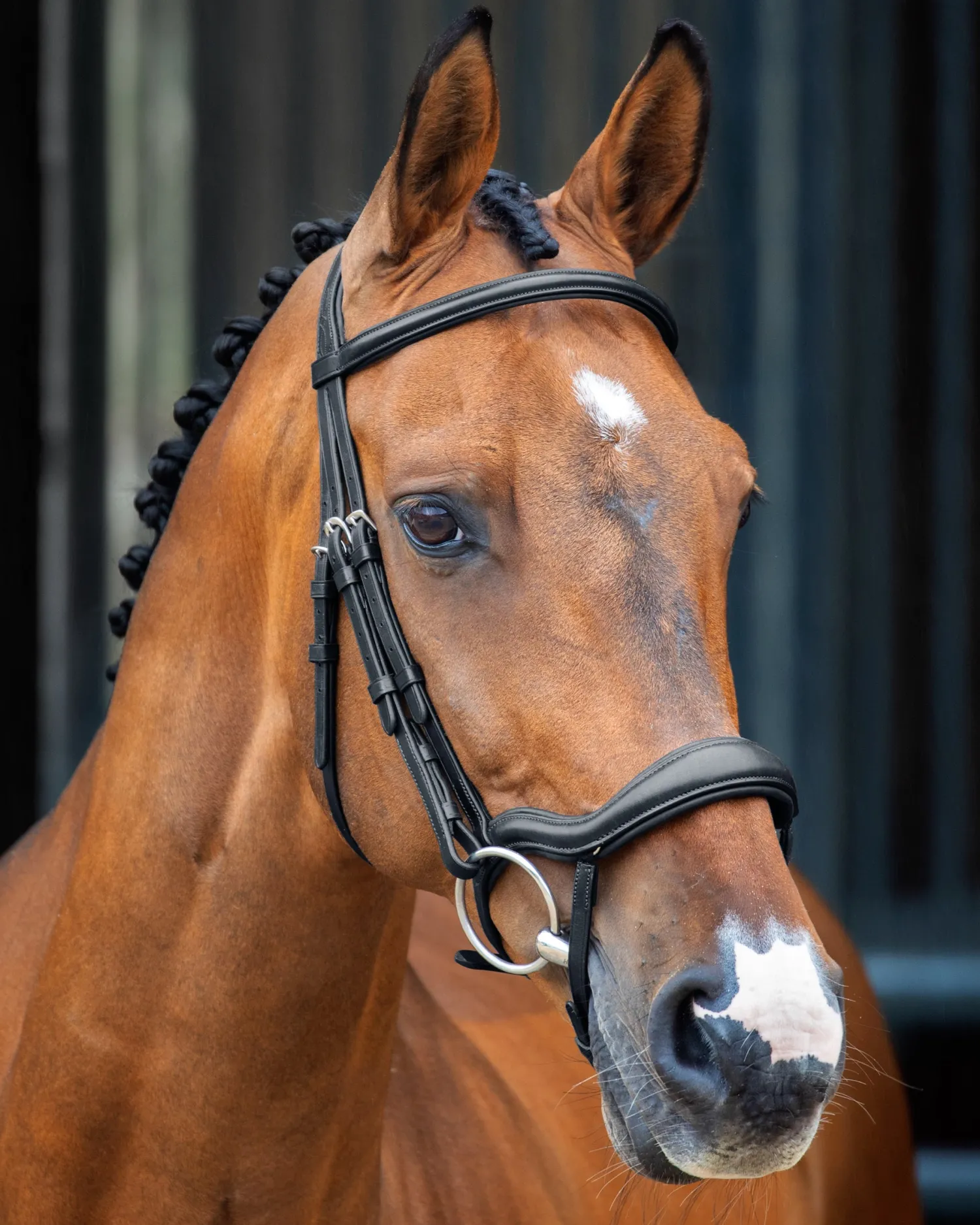 Online SHIRES EQUESTRIAN Velociti Lusso Ergonomic Flash Bridle