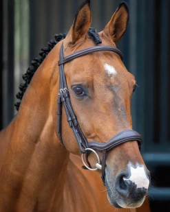 Online SHIRES EQUESTRIAN Velociti Lusso Ergonomic Flash Bridle