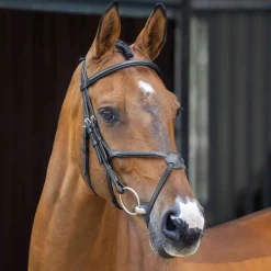 Outlet SHIRES EQUESTRIAN Velociti Lusso Grackle Bridle
