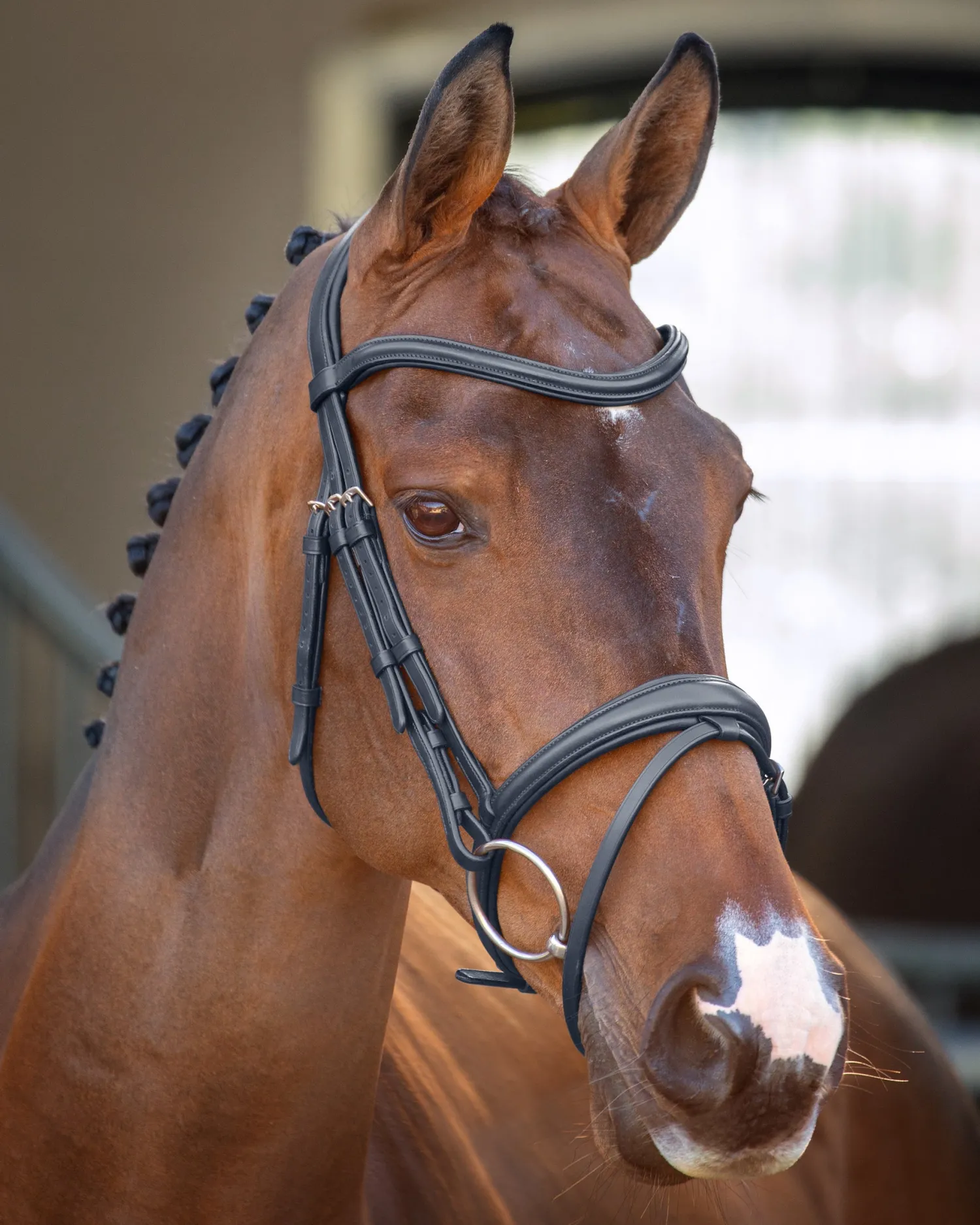 Clearance SHIRES EQUESTRIAN Velociti Lusso Padded Raised Flash Bridle