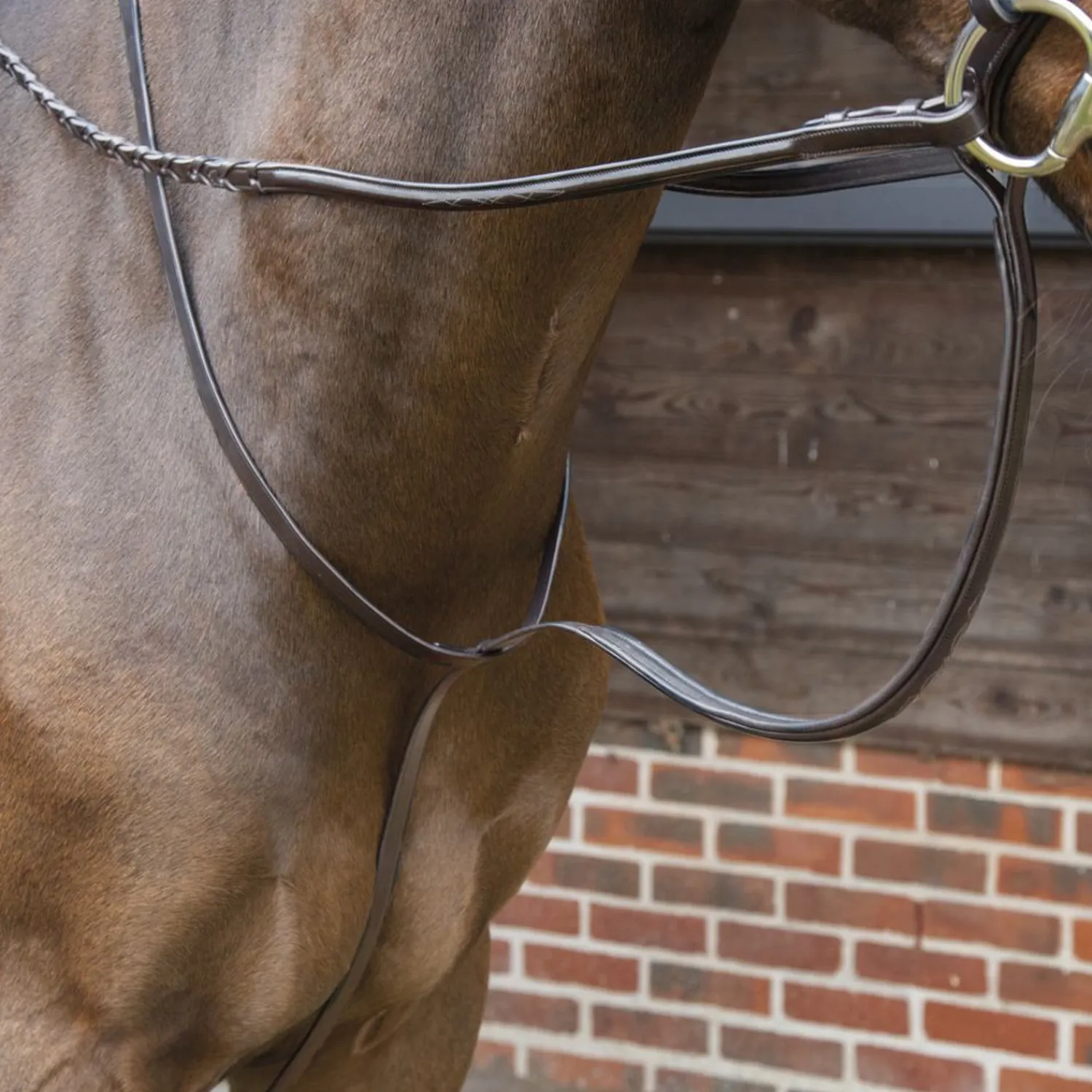 Online SHIRES EQUESTRIAN Velociti Lusso Standing Martingale