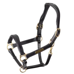 Clearance SHIRES EQUESTRIAN Velociti Rapida Cushioned Leather Halter