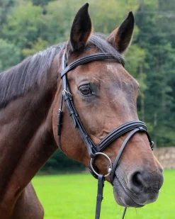 WORLD EQUSTRN BRNDS Vespucci Dressage Double Raised Snaffle Bridle Black
