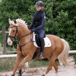 New WALDHAUSEN Secutrust Breastplate with Safety Reins