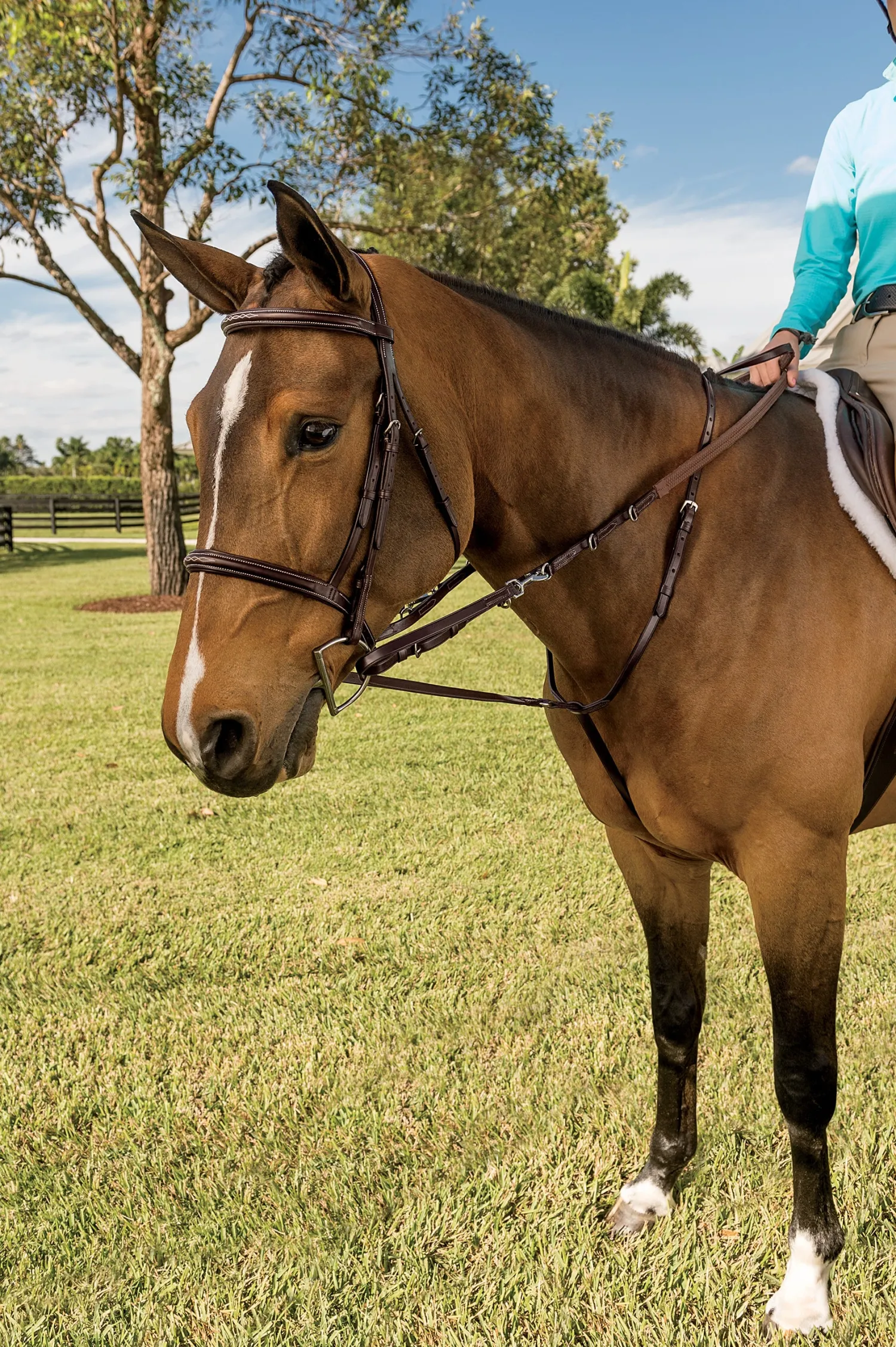 Sale WALSH PRODUCTS Walsh™ German Martingale Brown