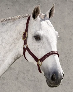 WALSH PRODUCTS Walsh™ Signature Padded Halter