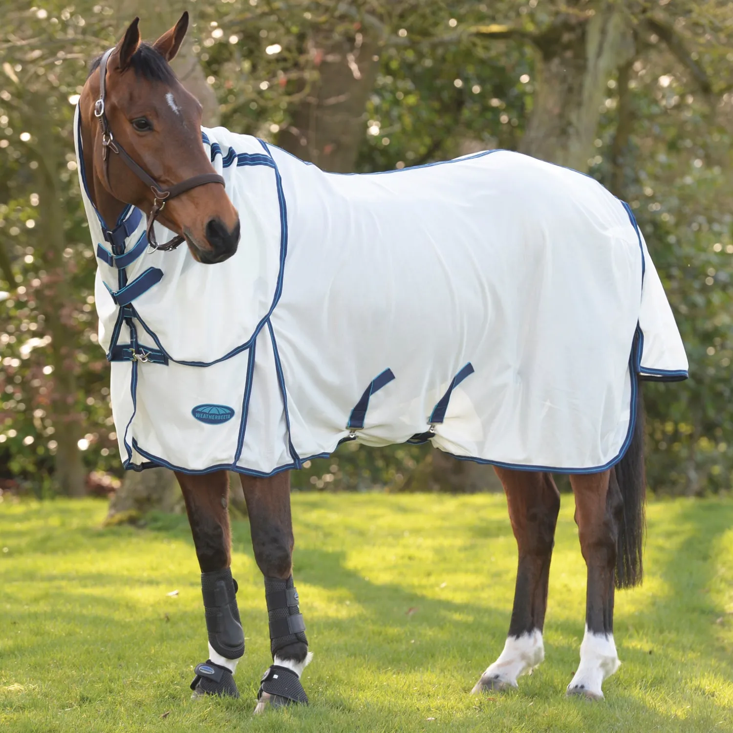 Clearance WEATHERBEETA ® ComFiTec™ Airflow II Detach-A-Neck Fly Sheet