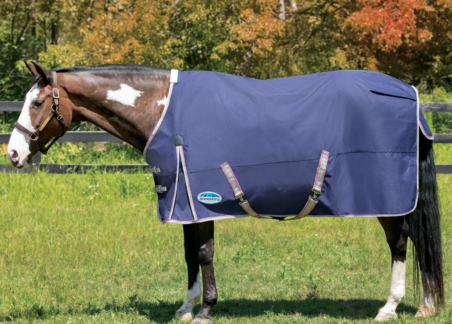 New WEATHERBEETA ® ComFiTec™ Essential Solid Turnout Sheet Navy/Silver/Red