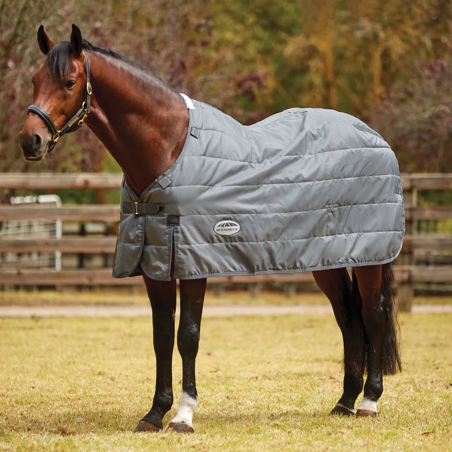Discount WEATHERBEETA ® ComFiTec™ Medium/Lite Blanket Liner Grey