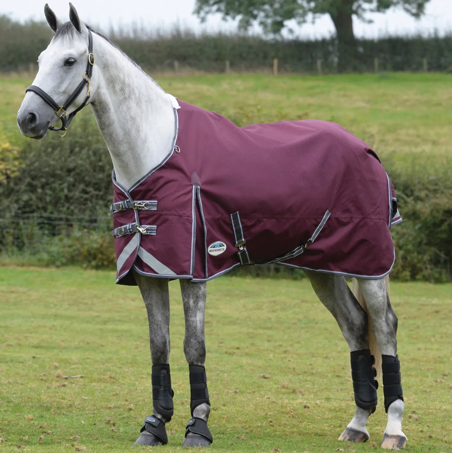 Online WEATHERBEETA ® ComFiTec™ Plus Dynamic II Standard Neck Medium-Weight Turnout Blanket Maroon/Grey/White