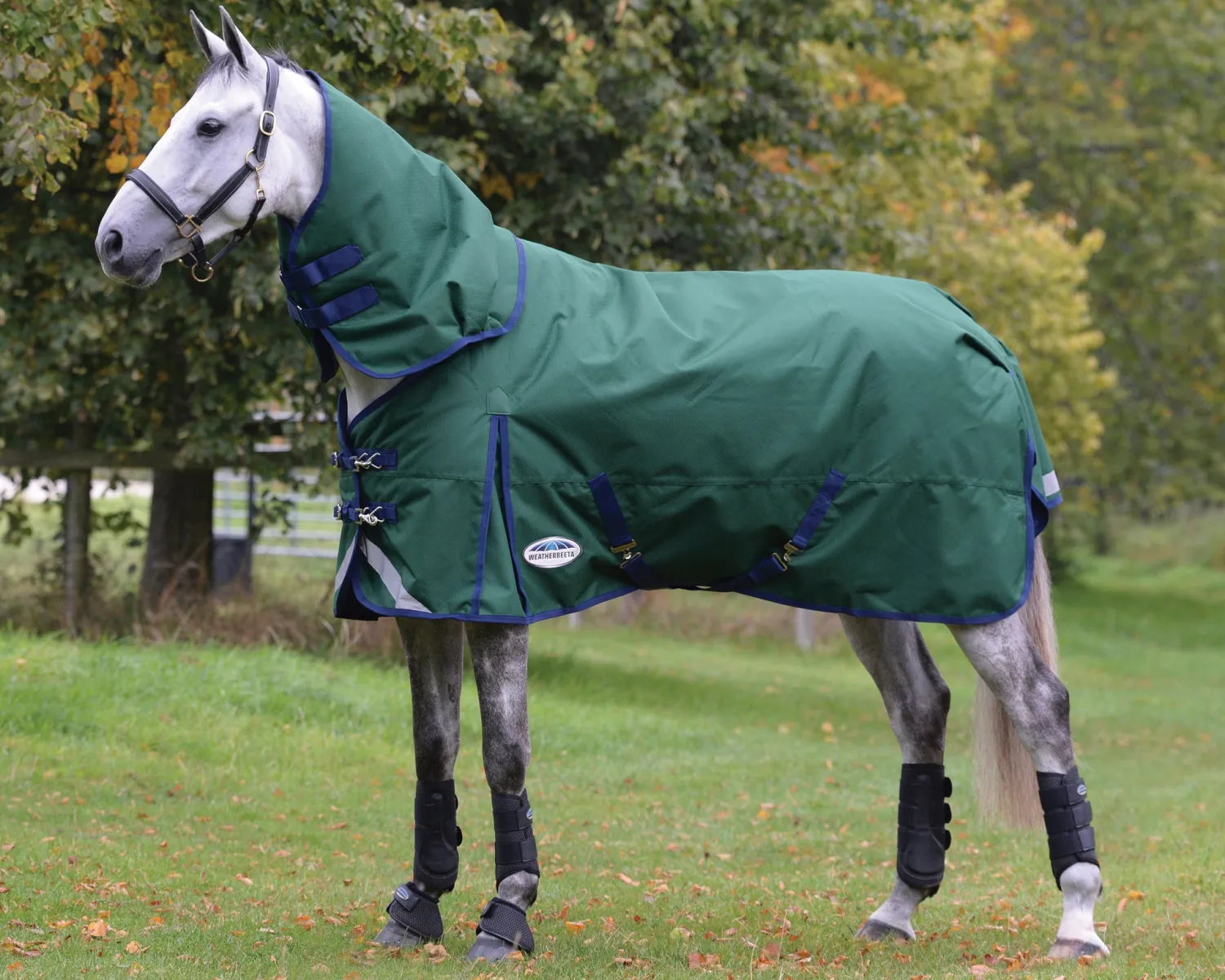 WEATHERBEETA ® ComFiTec™ Plus Dynamic II Detach-A-Neck Heavyweight Turnout Blanket Hunter/Navy