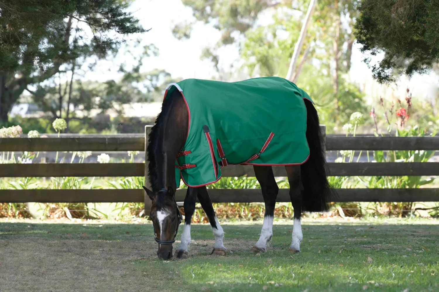 Outlet WEATHERBEETA ® ComFiTec™ Prelim Standard Neck Medium-Weight Turnout Blanket Dark Green/Red/White