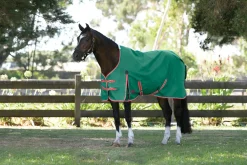 Outlet WEATHERBEETA ® ComFiTec™ Prelim Standard Neck Medium-Weight Turnout Blanket Dark Green/Red/White