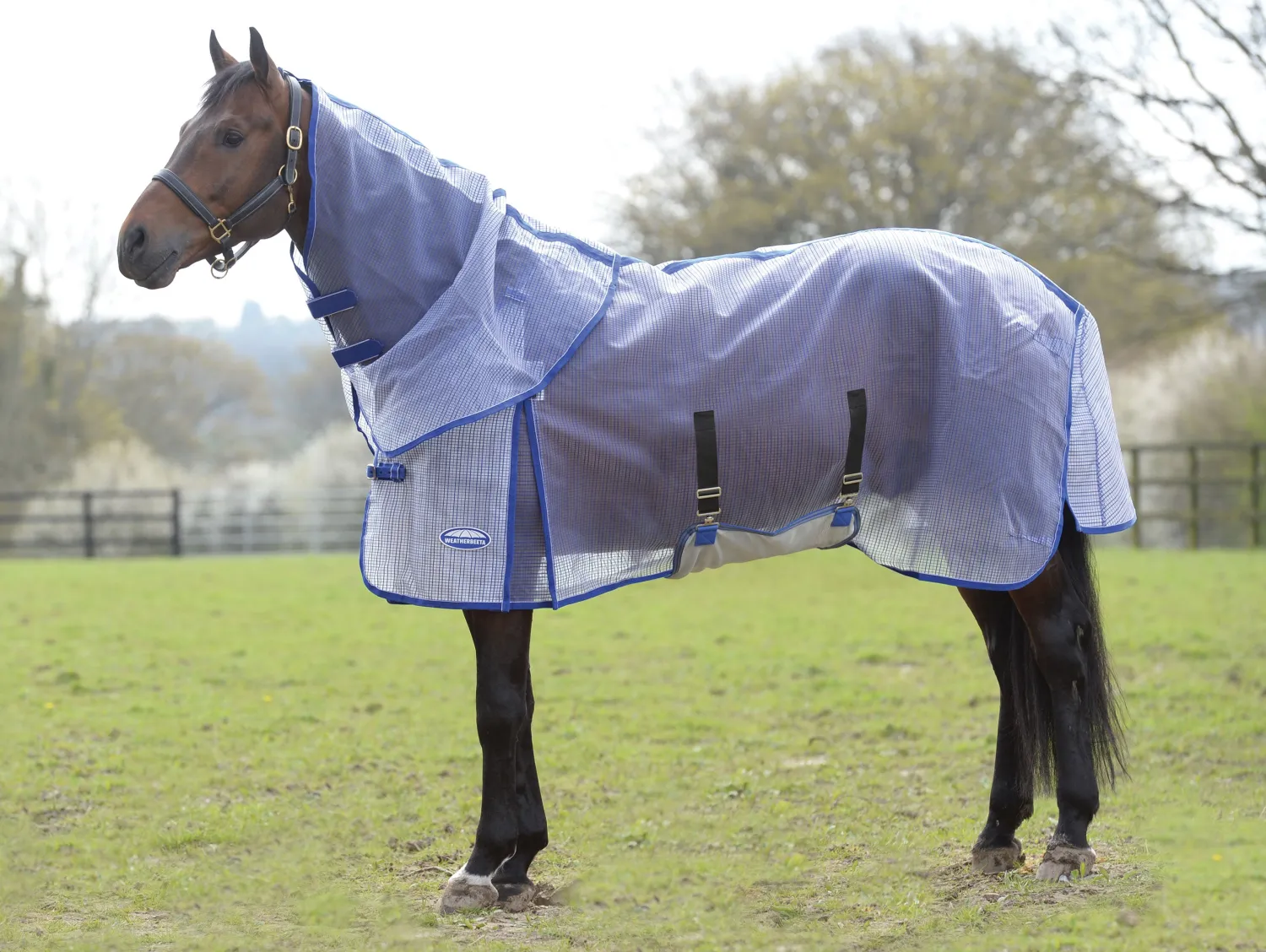 Outlet WEATHERBEETA ® ComFiTec™ Ripshield Detach-A-Neck Fly Sheet