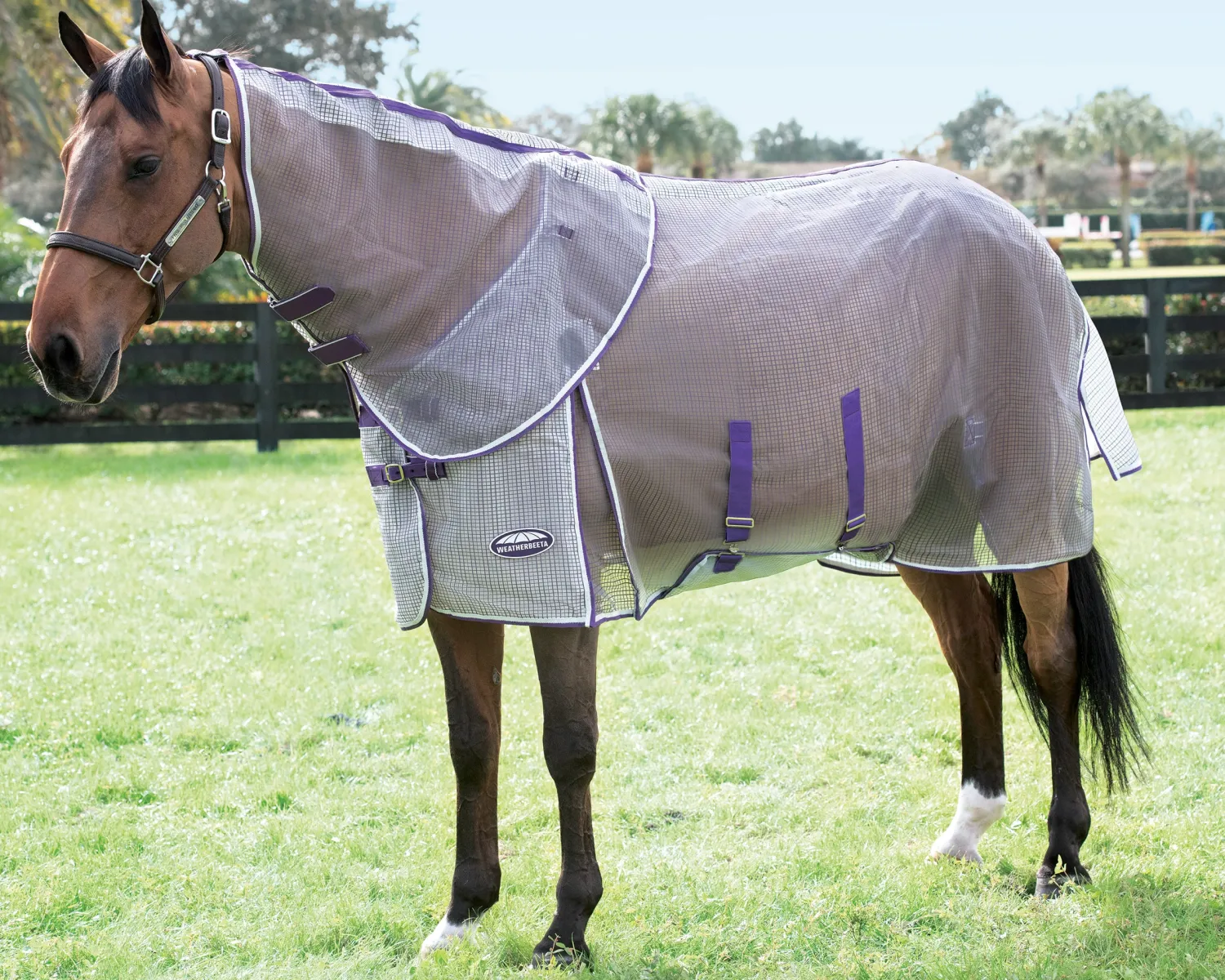 Outlet WEATHERBEETA ® ComFiTec™ Ripshield Detach-A-Neck Fly Sheet