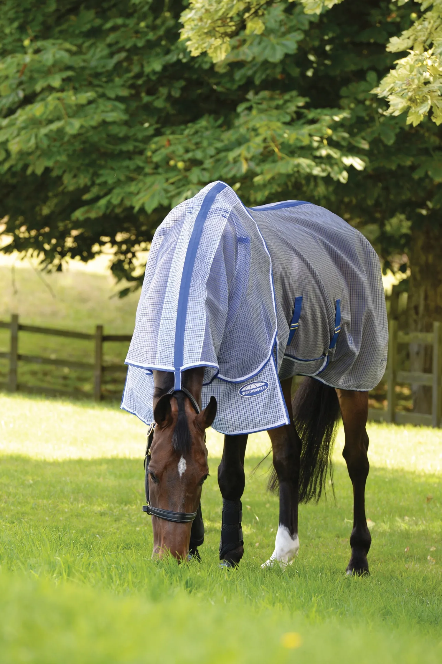 Outlet WEATHERBEETA ® ComFiTec™ Ripshield Detach-A-Neck Fly Sheet