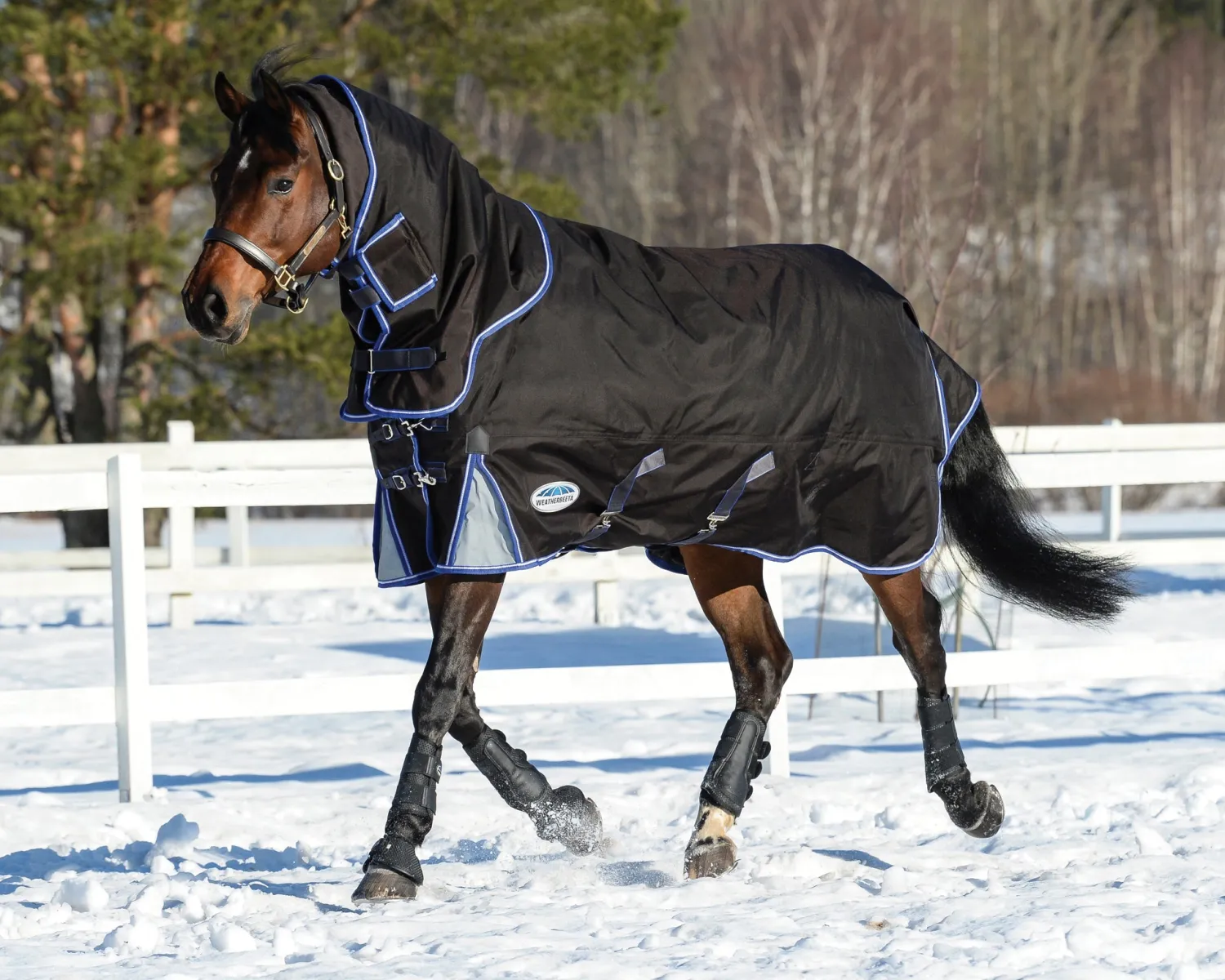 Best WEATHERBEETA ® ComFiTec™ Ultra Cozi II Detach-A-Neck Medium-Weight Turnout Blanket Charcoal/Blue/White