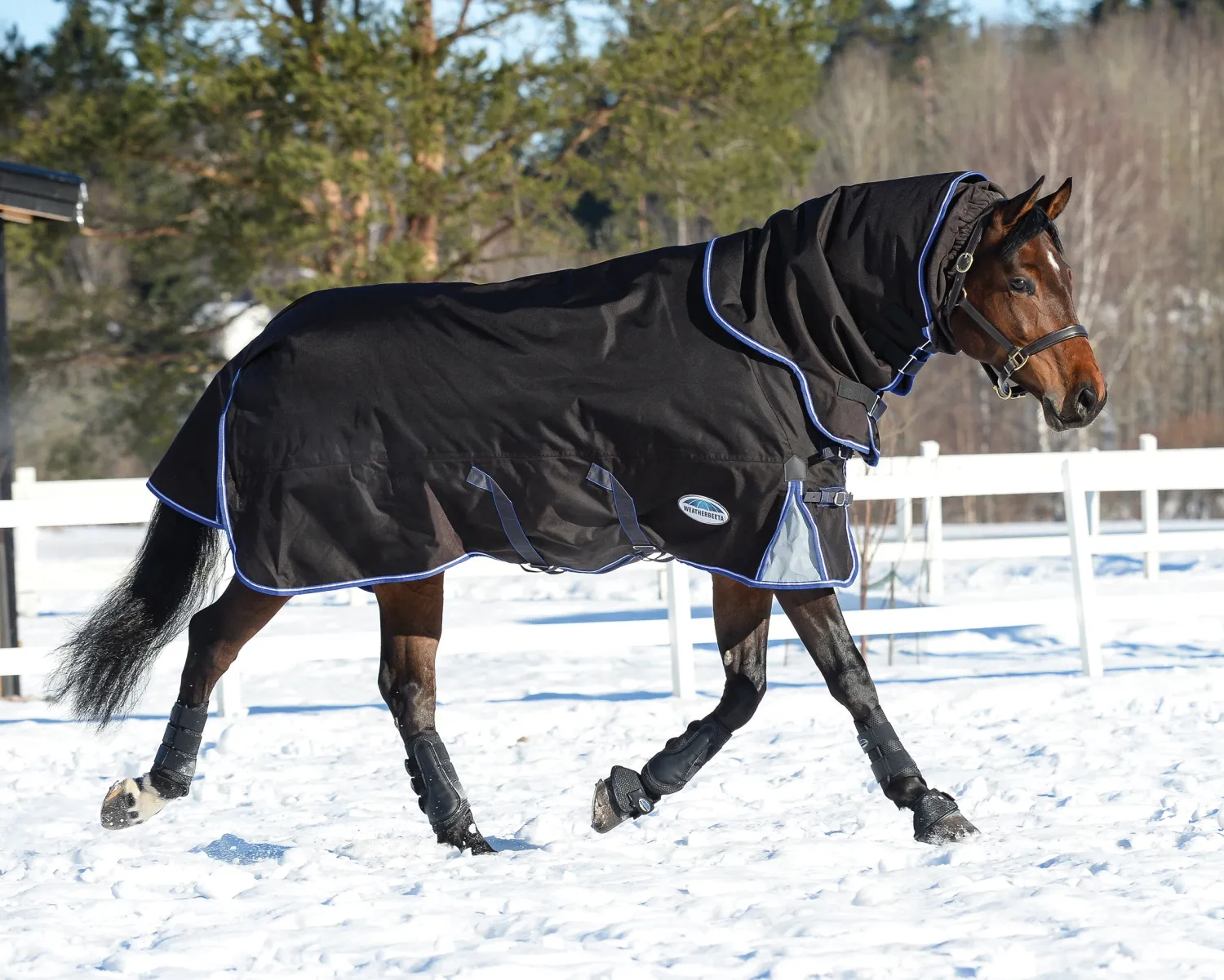 Best WEATHERBEETA ® ComFiTec™ Ultra Cozi II Detach-A-Neck Medium-Weight Turnout Blanket Charcoal/Blue/White