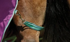 Hot WEATHERBEETA ® Pony ComFiTec™ Premier Free II Standard Neck Lite Turnout Purple/Navy/Mint