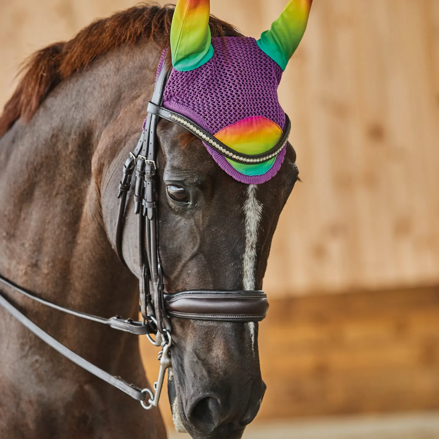 Discount WEATHERBEETA ® Prime Ombré Ear Bonnet