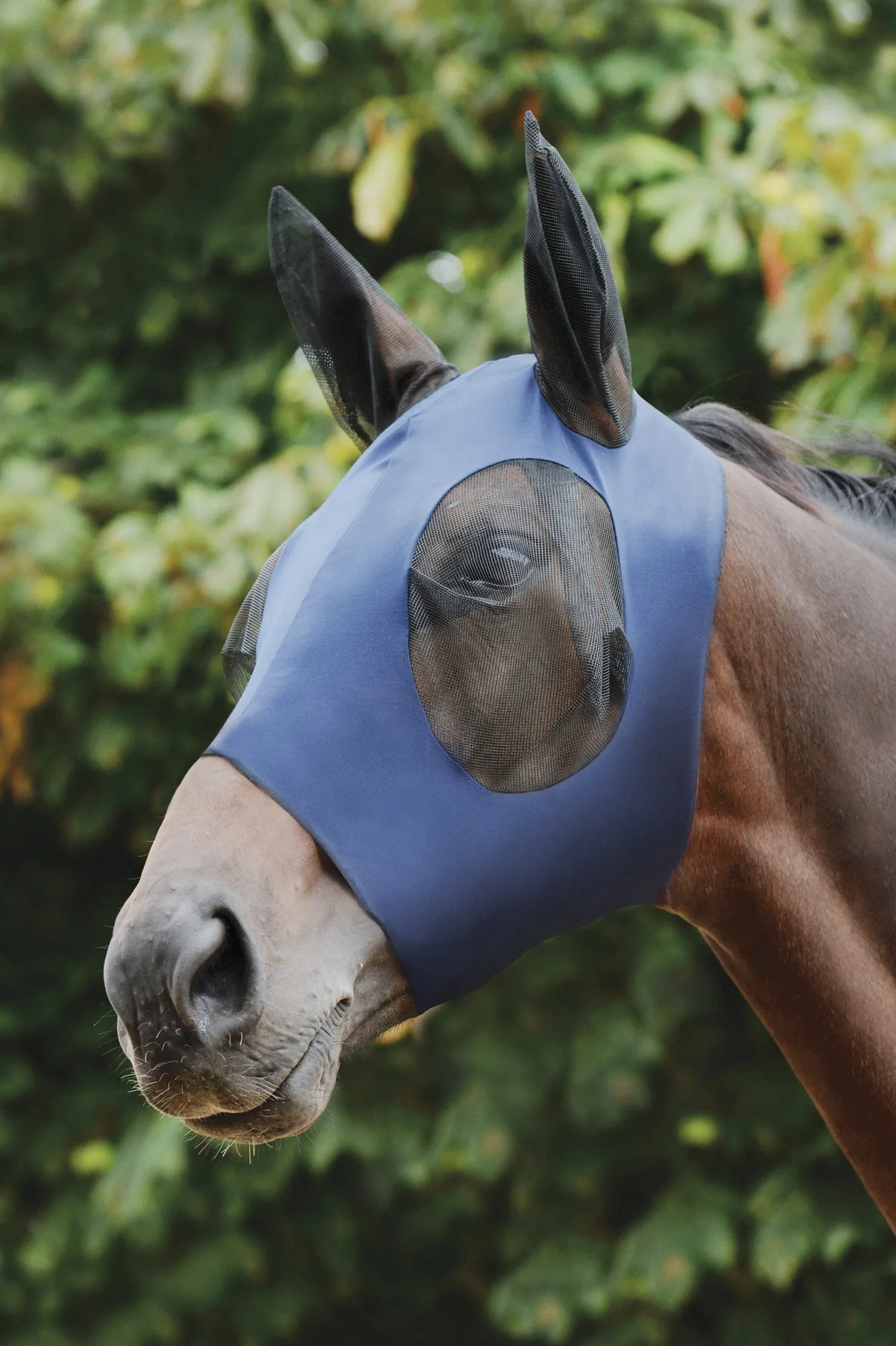 Online WEATHERBEETA ® Stretch Bug Eye Saver with Ears