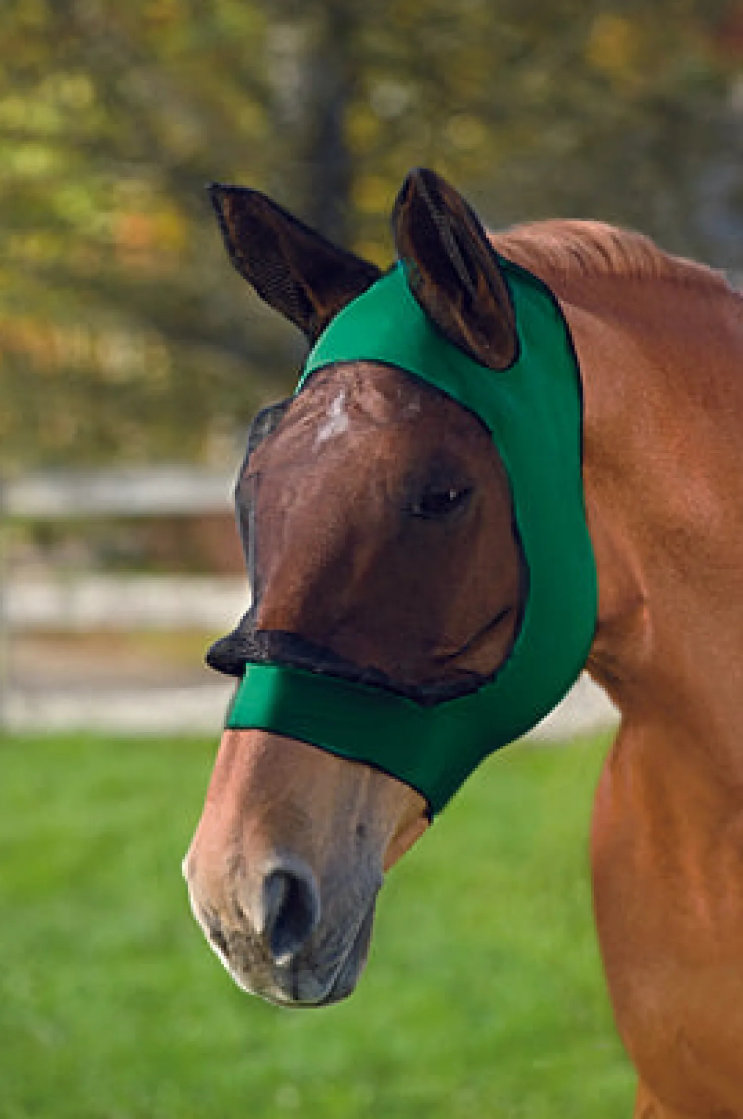 Hot WEATHERBEETA ® Stretch Eye Saver with Ears