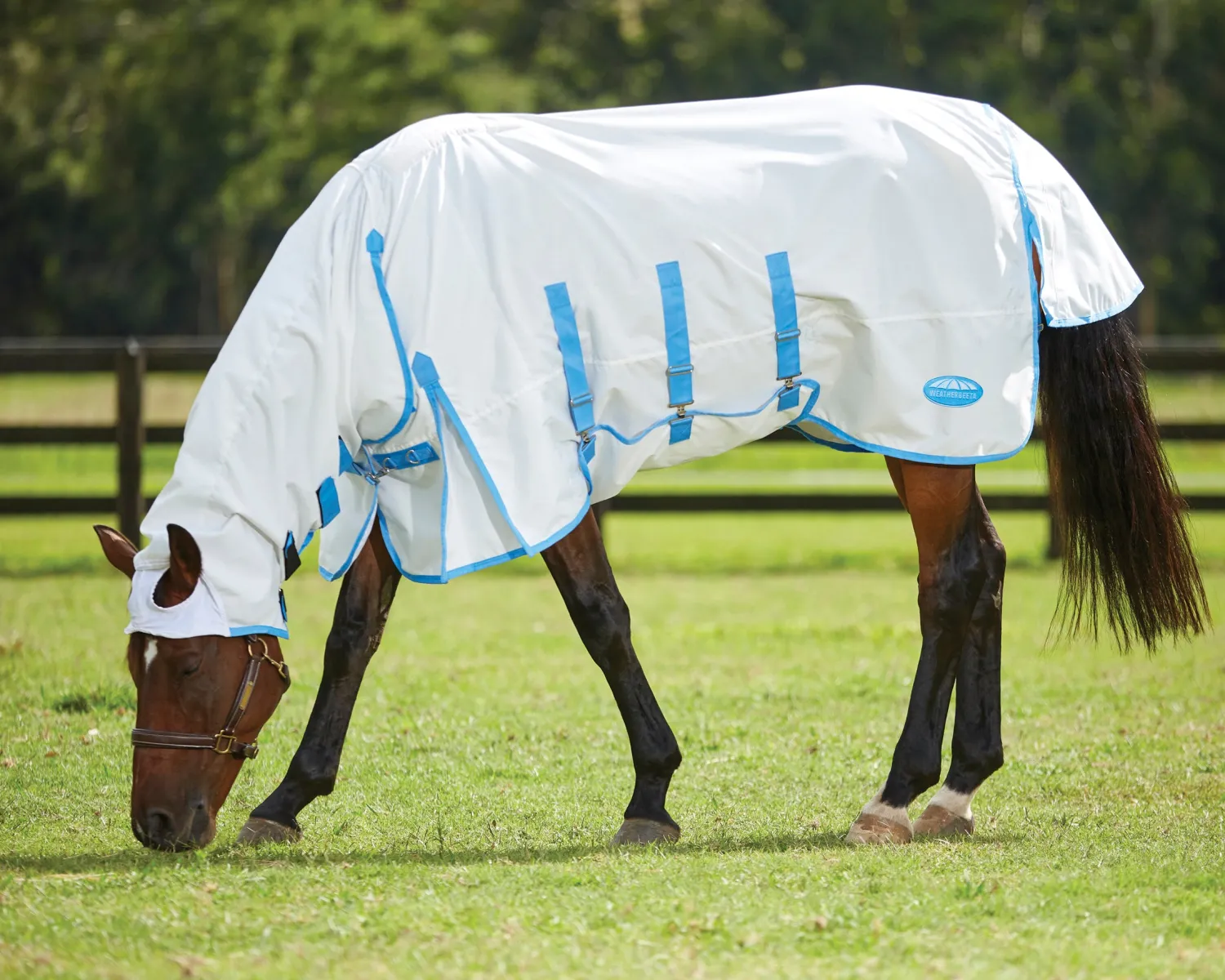 Clearance WEATHERBEETA ® Sweet Itch Shield with Combo Neck White/Blue