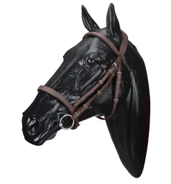 Sale SADDLERY BRANDS INTL Wintec Bridle