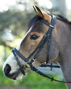 Sale SADDLERY BRANDS INTL Wintec Bridle with Flash