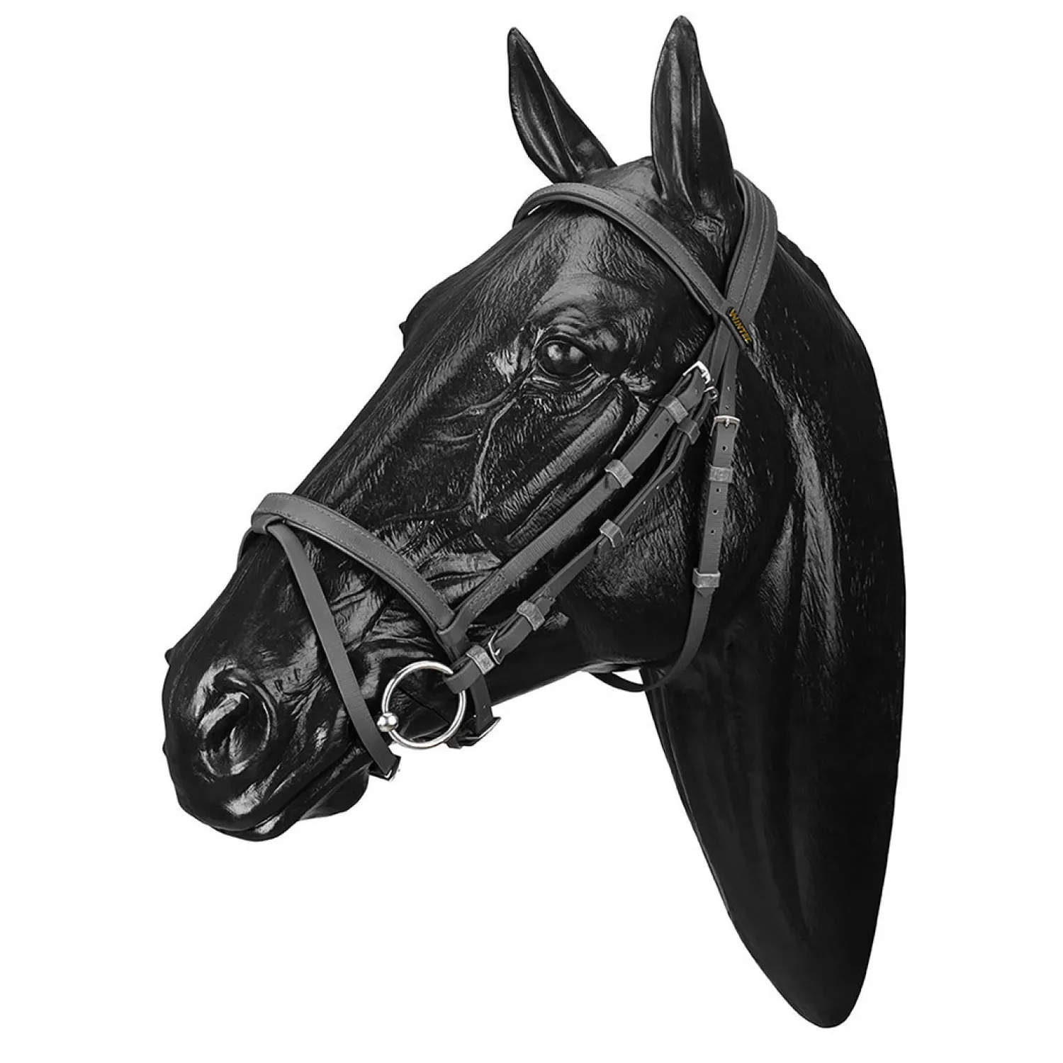 Sale SADDLERY BRANDS INTL Wintec Bridle with Flash