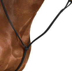 Sale SADDLERY BRANDS INTL Wintec Standing Martingale