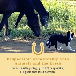 Hot WITHERS & WITHERS Sugar-Free Cinnamon Nutra-Treats for Horses
